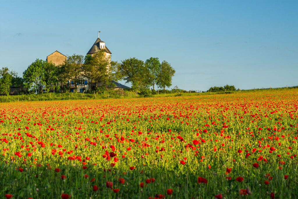 20210527Moulin de Plaisance60